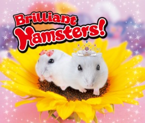 Oshare Hamster to Kurasou: Issho ni Odekake