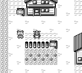 Pokemon : Platinum Version