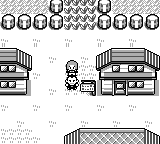 Pokemon Rocket - James Version
