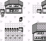 Pokemon : Z version