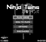 Ninja Twins — Title screen
