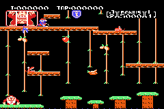 Advance Play Edition - Donkey Kong Jr.