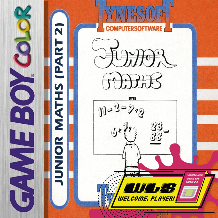 Junior Maths 2