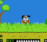 Nes Conversion - Duck Hunt