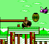 Super Donkey Kong 5