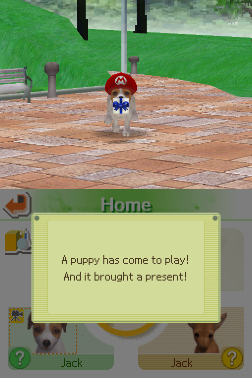 Nintendogs : Jack Russell Relay Mode