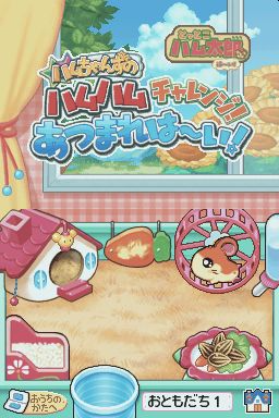 Hi! Hamtaro: Little Hamsters Big Adventures - Ham-Ham Challenge — Title screen