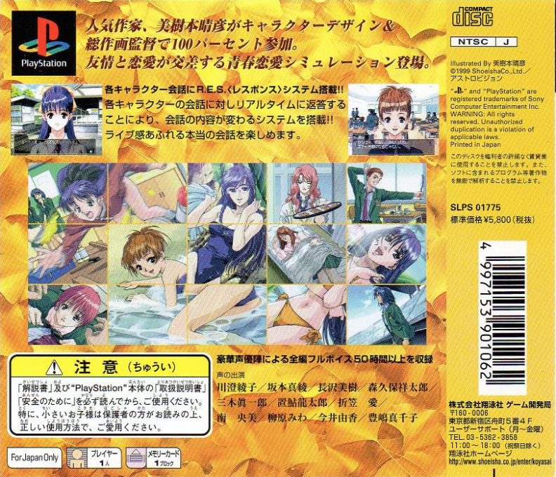 Koyasai : A sherd of youthful memories — Box back