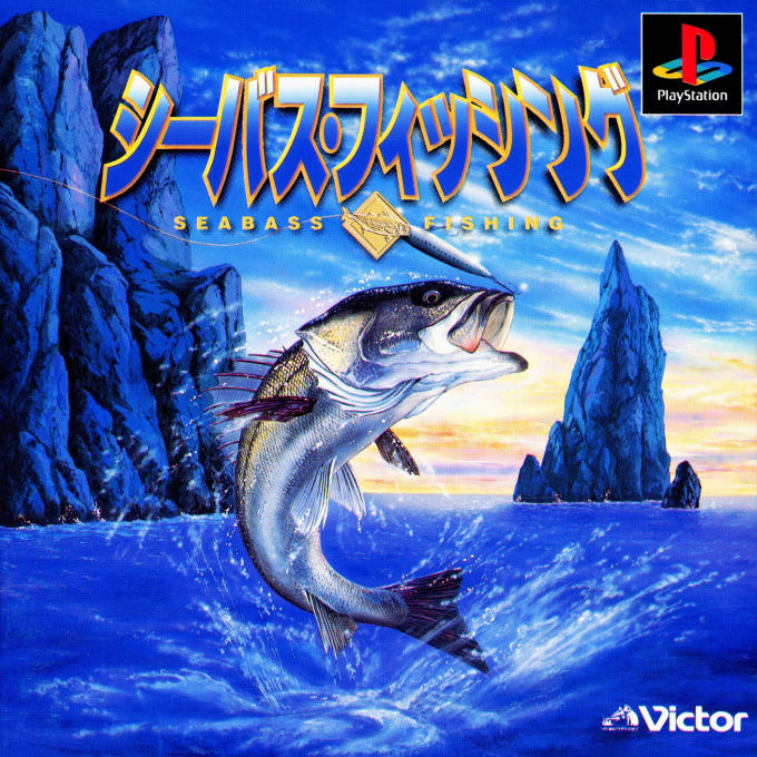 Seabass Fishing