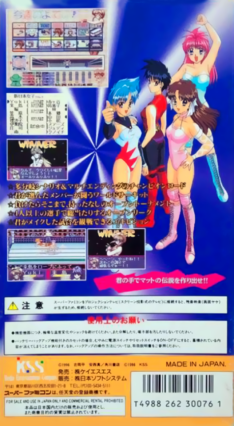 Bishoujo Wrestler Retsuden : Blizzard Yuki Rannyuu!! — Box back