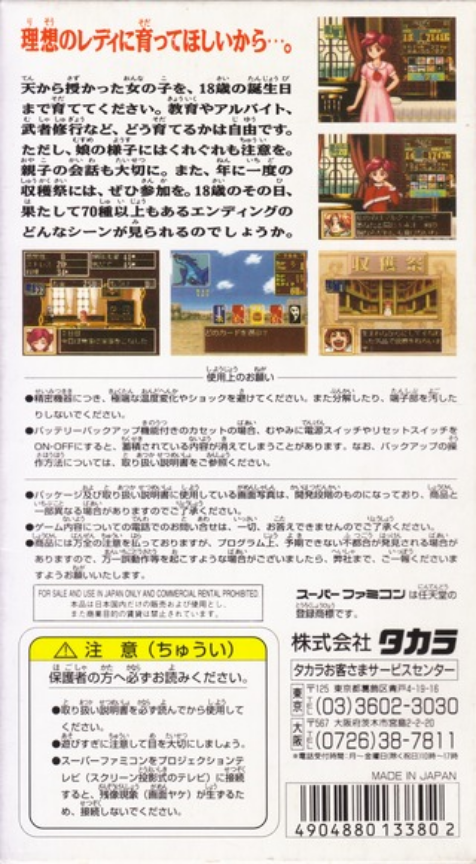 Princess Maker : Legend of Another World — Box back