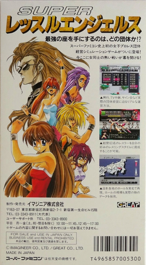 Super Wrestle Angels — Box back